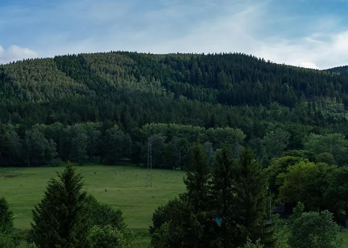Z Widokiem Na Sniezke Kowary